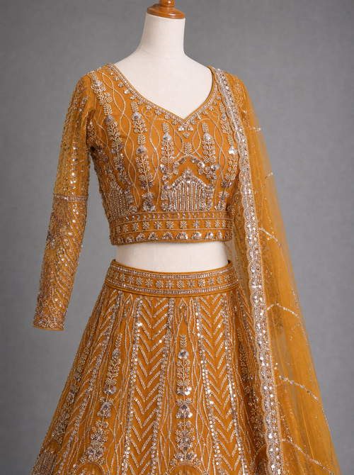 Luxury Embroidered Lehenga